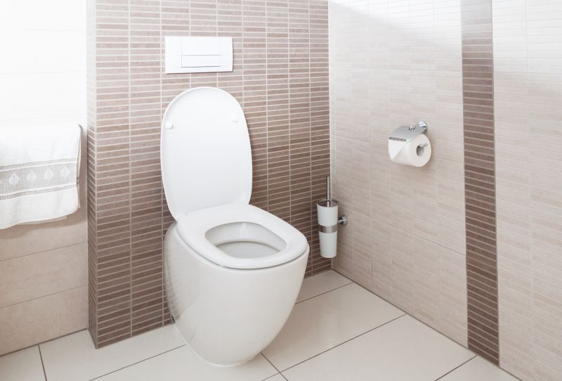 Basement Toilet Installation in Denver, CO
