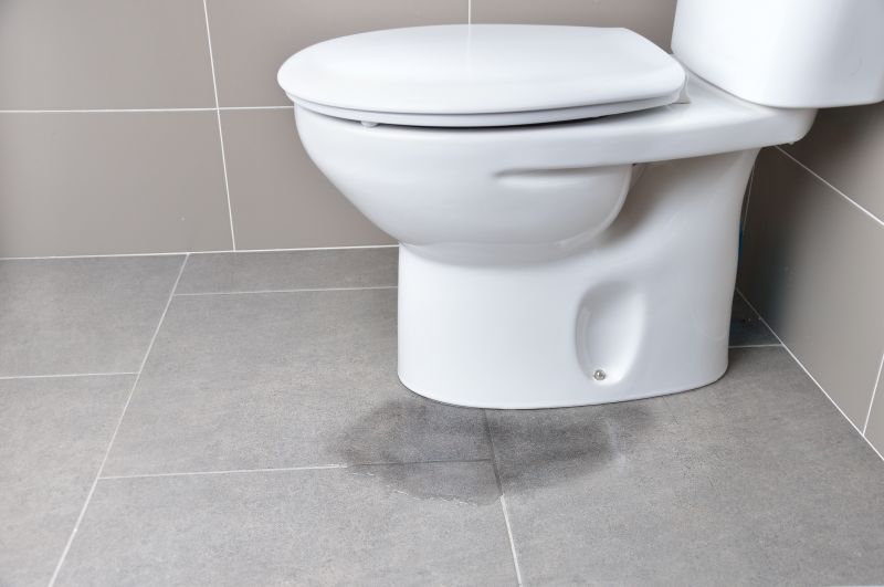Toilet Seal Replacement