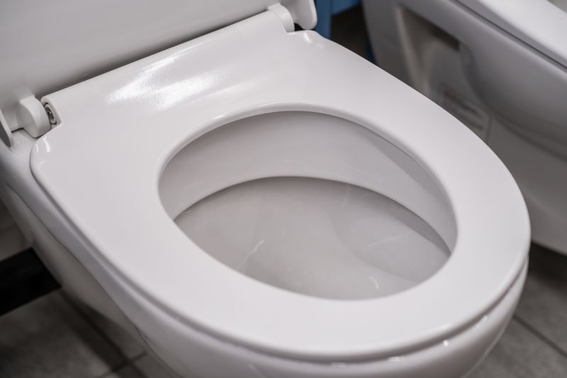 Toilet Seal Replacement
