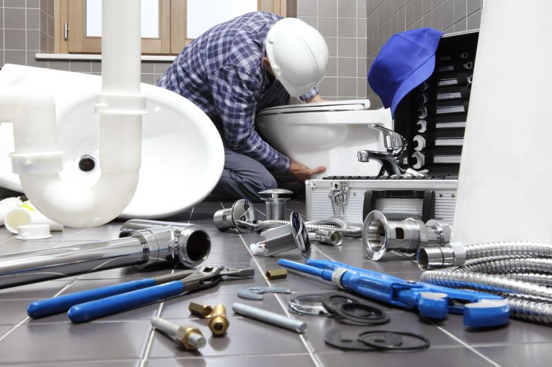 Holiday Savings on Toilet Repairs
