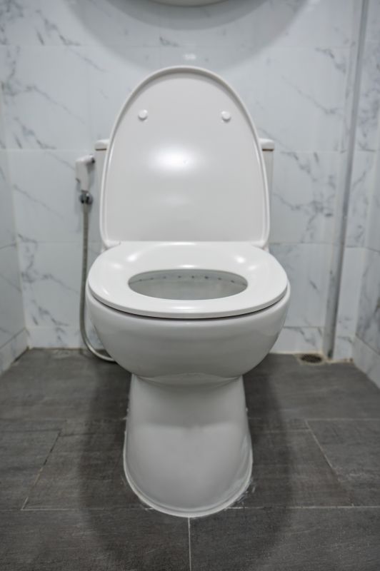 Toilet Seal Installation